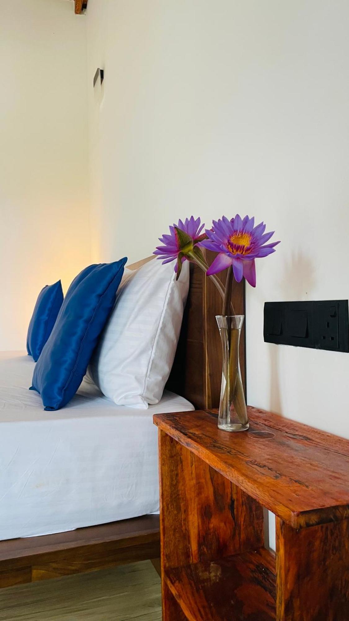 The Point Mirissa Hotel Bagian luar foto